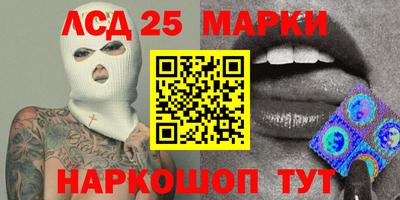 прущие грибы Нальчик