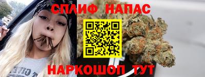 прущие грибы Нальчик