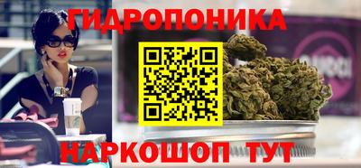 прущие грибы Нальчик