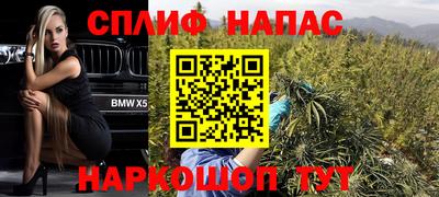 прущие грибы Нальчик