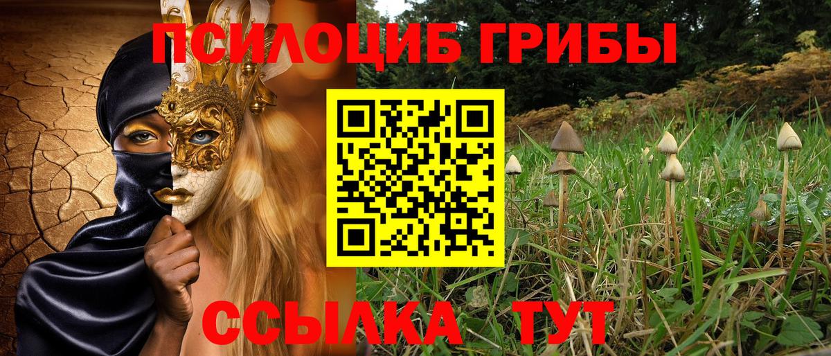 Урай  даркнет сайт  Вход с VPN  Галлюциногенные грибы Cubensis  Псилоцибиновые грибы мухоморы 